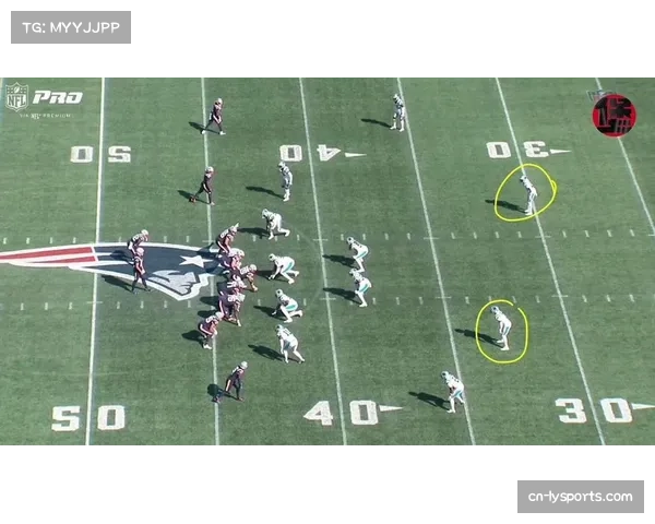 爱国者42-13大胜黑豹 防守组多次制造球权转换 爱国者42-13大胜黑豹 防守组多次制造球权转换